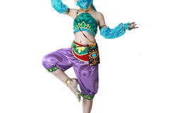 Selling with online payment: Gerudo Link costume, everything except wig and shoes