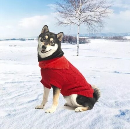 KOOLTAIL Dog Sweater Knit Turtleneck Cold Weather Extra Fleece Do