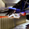 Selling with online payment: Himeko Honkai Star rail Genderbend cosplay