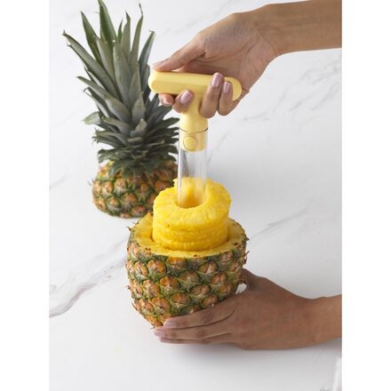 PROfreshioanal Pineapple corer & Slicer Case of 32pc