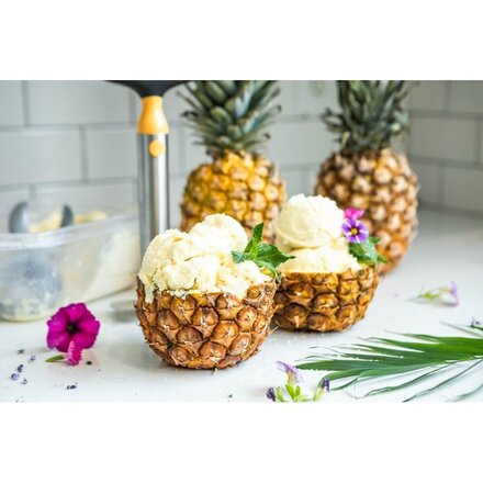 PROfreshioanal Pineapple corer & Slicer Case of 32pc