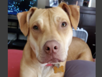   : Charlee