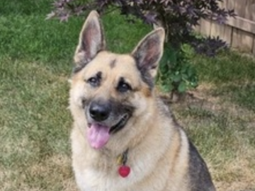   : Zeke