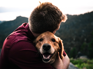 Wellness Session Single: Stress Management and Emotional Health for Animals with Lydia