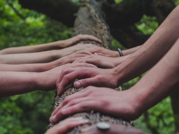 Wellness Session Single: 30 Minute Distant Reiki Session with Taylor