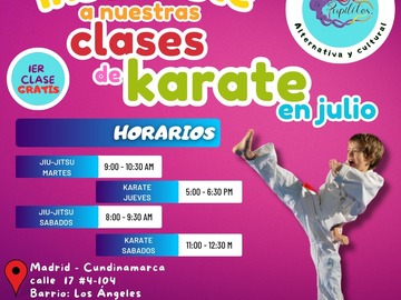Servicios : Karate