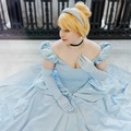 Selling with online payment: Cinderella