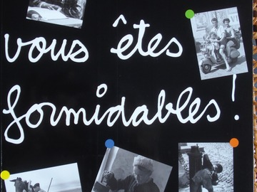 Vente: Vous êtes formidables - L'album de famille des Français
