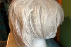 Selling with online payment: Shoto todoroki wig