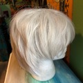 Selling with online payment: Shoto todoroki wig
