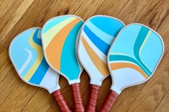 Renting out with online payment: Pickleball Paddles, Balls and Net