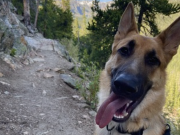   : Axel