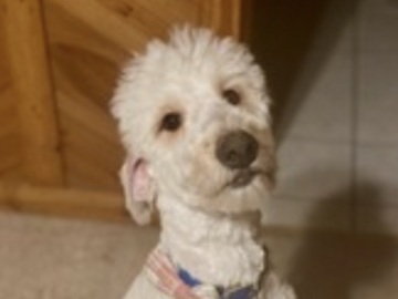   : Milo