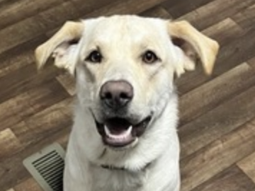   : Winston