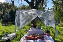 Offering with deposit : Latoya’s Secret Arrangements in Tampa