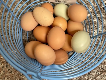 Selling with online payment: Cage free, free range eggs for sale