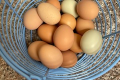 Selling with online payment: Cage free, free range eggs for sale
