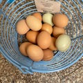Selling with online payment: Cage free, free range eggs for sale