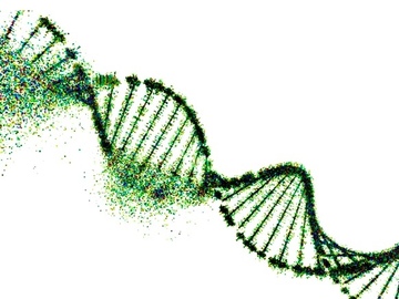 Selling: ✨ Sacred DNA Activation ✨