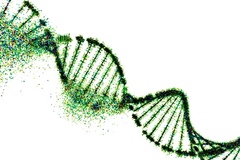 Selling: ✨ Sacred DNA Activation ✨