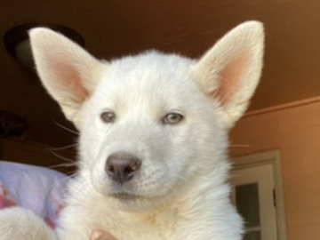  : Zeke 