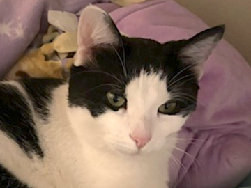   : Missy and Stormy 
