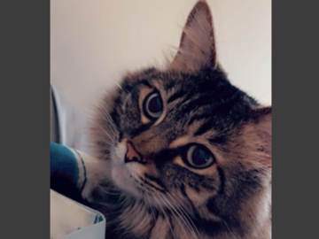   : Binx