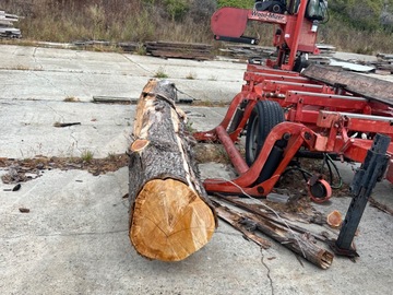 Selling: Cypress Logs