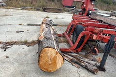Selling: Cypress Logs