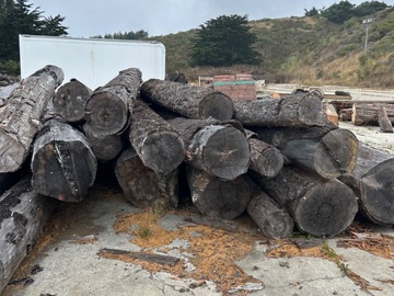 Selling: Doug Fir Fire salvage logs