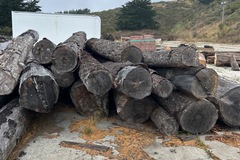 Selling: Doug Fir Fire salvage logs