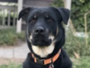   : Zeus