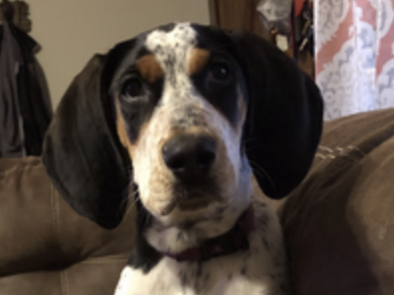   : Penelope