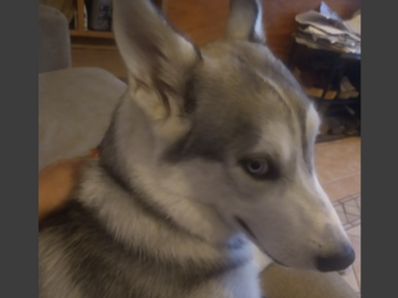   : Togo