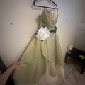 Selling with online payment: Princess Tiana Dress