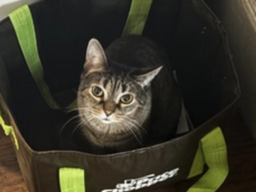   : Bella