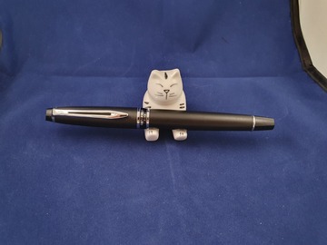 Renting out: Waterman Expert in matte black and chrome finish (F nib)