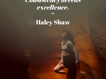 Wellness Session Single: DiSC Personality Assessment with Haley
