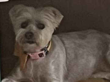   : Bella