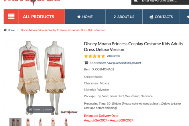 Moana Cosplay Costume: Size L - NEVER WORN!
