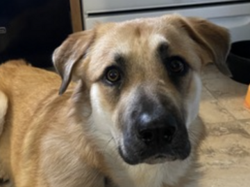   : Penny