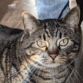   : Oliver