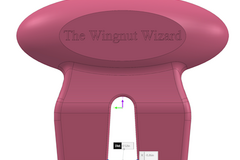 Selling with online payment: The Wingnut Wizard 