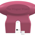 Selling with online payment: The Wingnut Wizard 