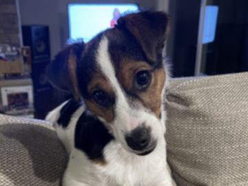   : Bella