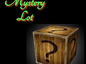 Bulk Lots: Name brand- EVERYTHING 
