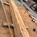 Selling: Big DF timber 