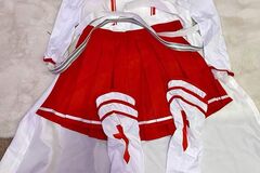 Selling with online payment: Asuna from Sword Art Online Costume