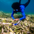 Beach & Water Excursions: Snorkeling in Marine Protected Areas | Velondriake (Andavadoaka)