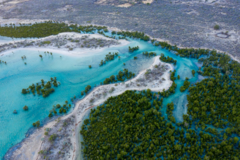 Beach & Water Excursions: Explore Marine Protected Mangroves | Velondriake (Andavadoaka)